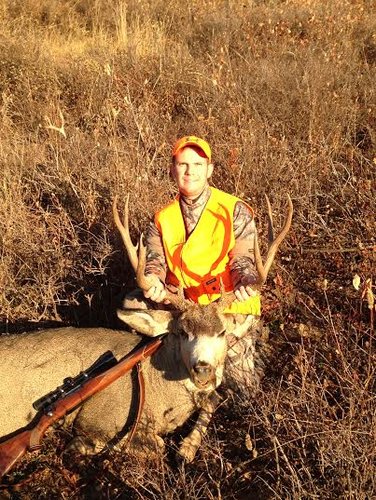 2014 Deer 3.jpg