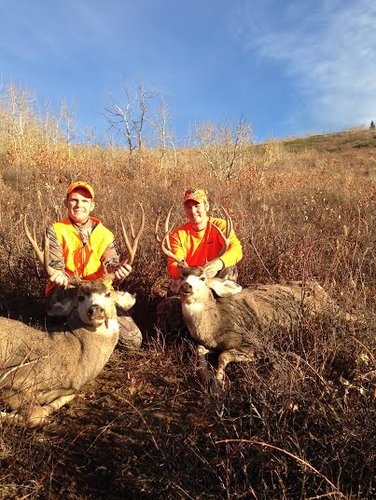 2014 Deer 5.jpg