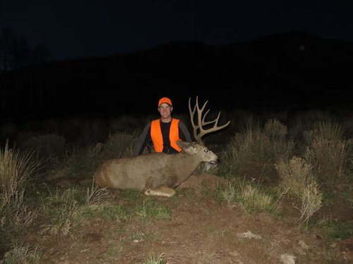 buck 1.jpg buck 1.jpg
