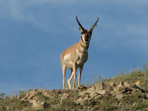 wy 054.JPG wy 054.JPG