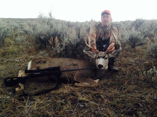 muledeer20141.jpg