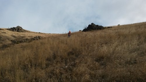 20141011_084638 (800x450).jpg 20141011_084638 (800x450).jpg