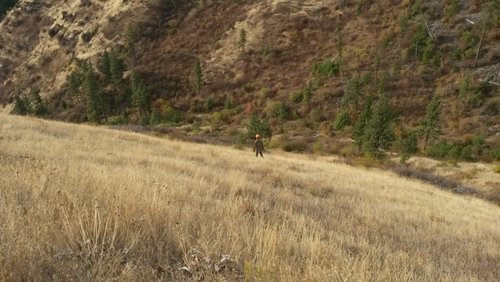 20141011_084646 (800x450).jpg 20141011_084646 (800x450).jpg