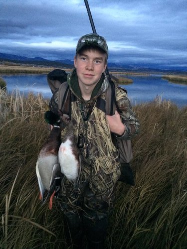 tateduck14.jpg
