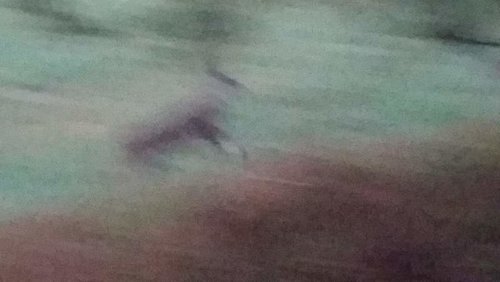 20141112_063529.jpg