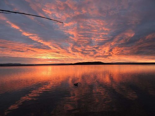 HT Sunrise ducks #2.jpg HT Sunrise ducks #2.jpg