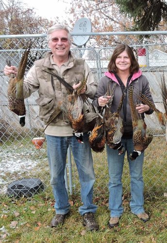 HT Di+SVT pheasants 2014.jpg HT Di+SVT pheasants 2014.jpg