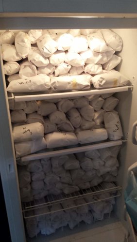 Samsung Pictures 449.jpg