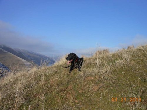 chukar hunt 004.jpg