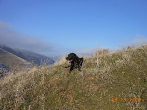 chukar hunt 004.jpg