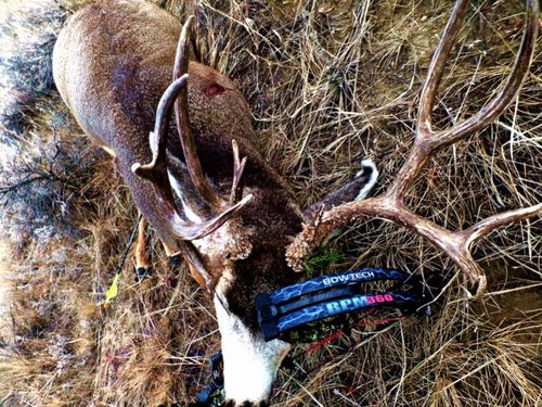 FREAK BOWTECH (800x600).jpg