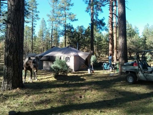 2014 Elk Camp 2 small.jpg