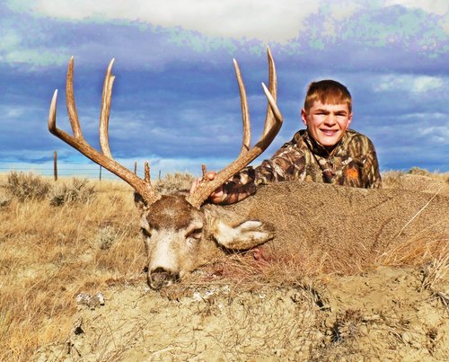 JACE 1 (800x644).jpg