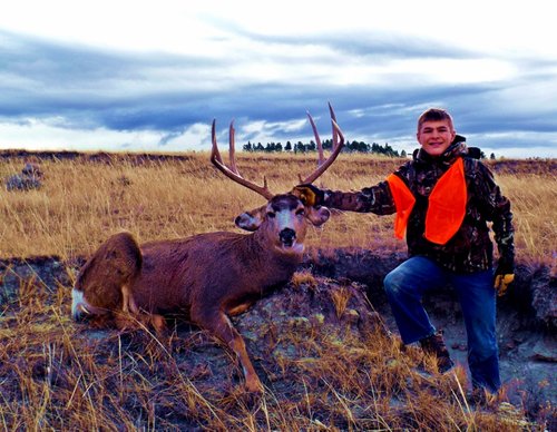 Jace 4 (800x620).jpg