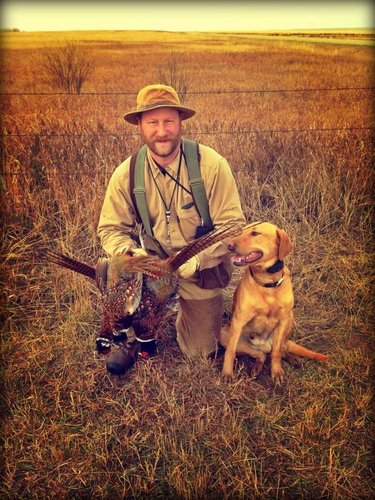 Last day limit of roosters.jpg