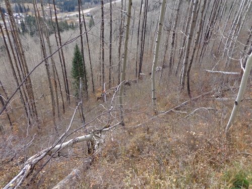 DSC00154 (640x480).jpg