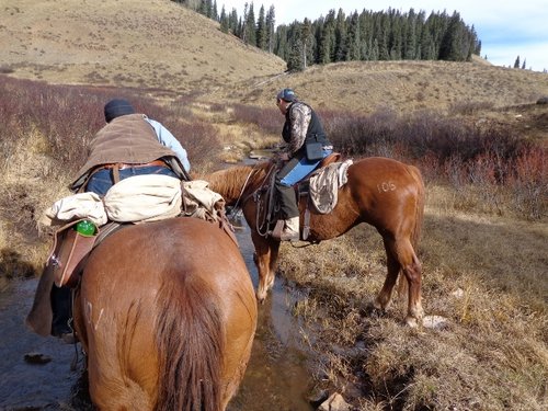 DSC00159 (640x480).jpg