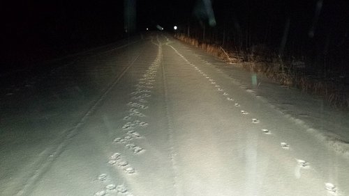 20141129_063851.jpg 20141129_063851.jpg