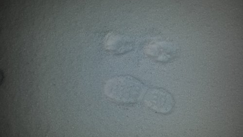 20141129_064552.jpg 20141129_064552.jpg