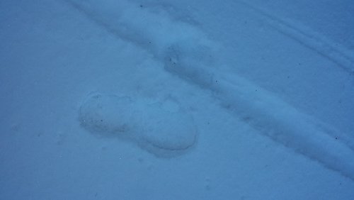 20141130_080036.jpg 20141130_080036.jpg