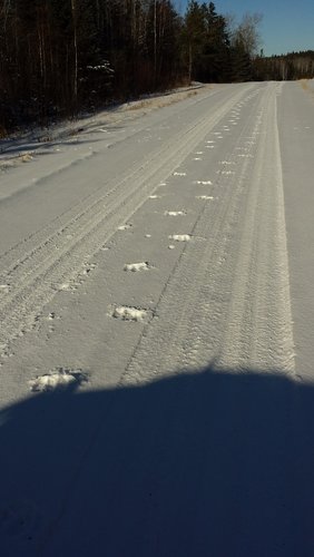 20141130_133345.jpg 20141130_133345.jpg