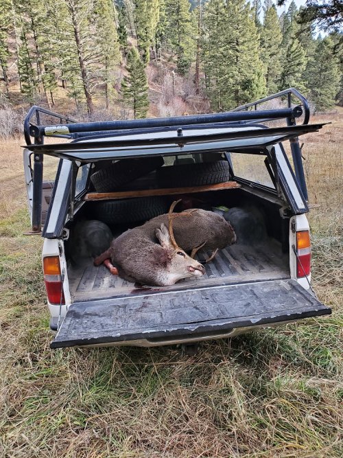 Caden's solo buck in new 99 Toyota pickup.jpg