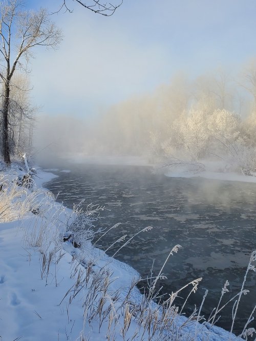 Slushy subzero Gallatin River.jpg