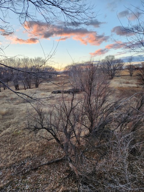 20240105_165759.jpg 20240105_165759.jpg