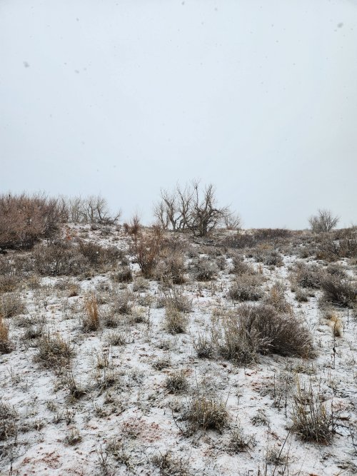 20240106_075252.jpg 20240106_075252.jpg