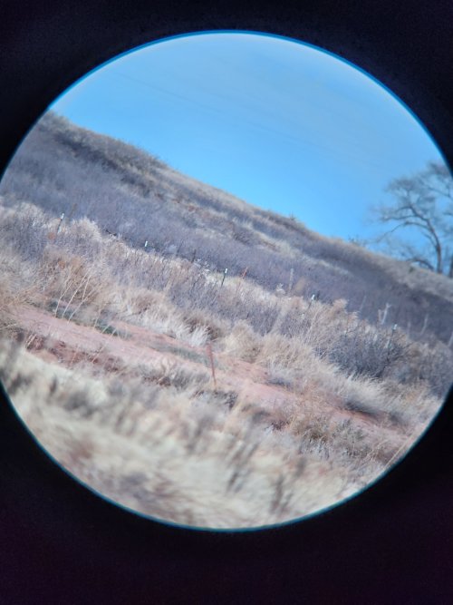 20240111_165800.jpg 20240111_165800.jpg