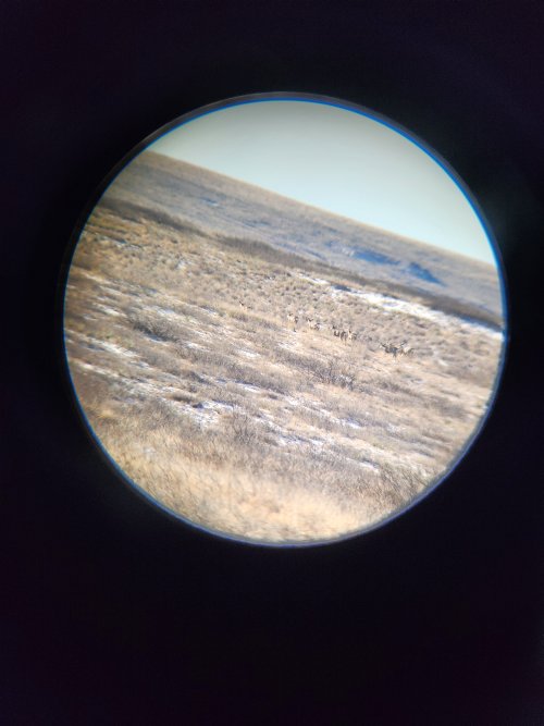 20240112_082857.jpg 20240112_082857.jpg