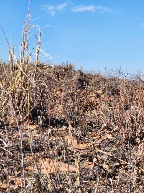 20240113_123752.jpg 20240113_123752.jpg