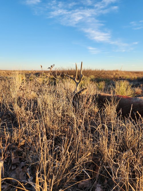 20240113_164430.jpg 20240113_164430.jpg