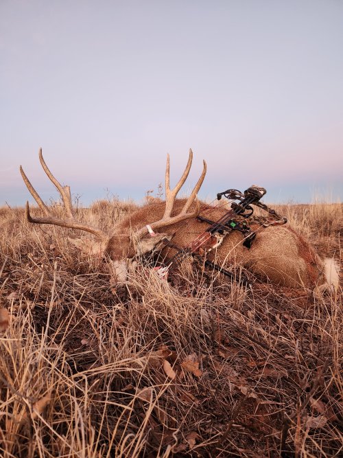 20240113_171835.jpg 20240113_171835.jpg