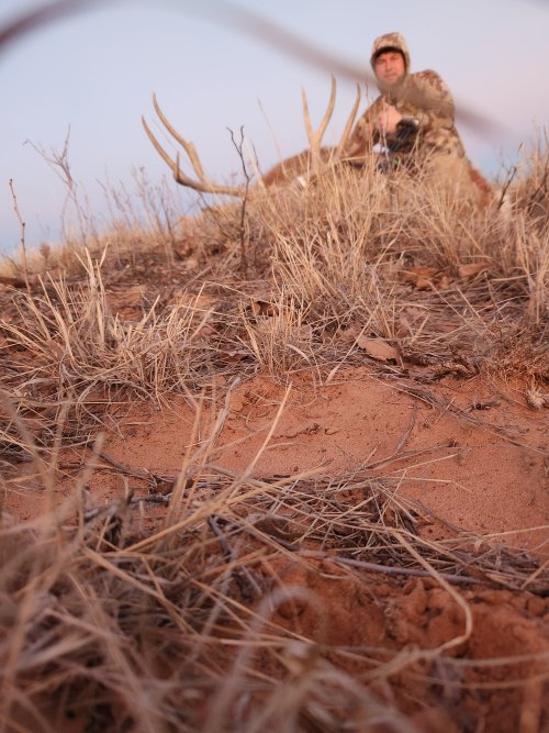 20240113_171906.jpg 20240113_171906.jpg