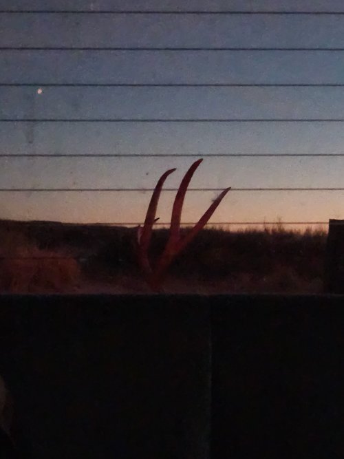 20240113_173547.jpg 20240113_173547.jpg