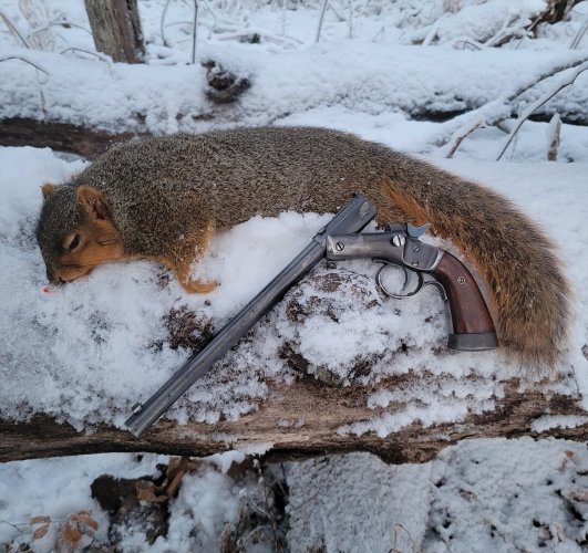20211211 Squirrel and Stevens M35.jpg 20211211 Squirrel and Stevens M35.jpg