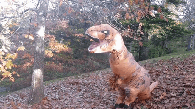 1706222338999.gif 1706222338999.gif