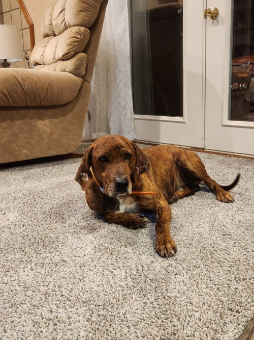 20240126_182806.jpg 20240126_182806.jpg