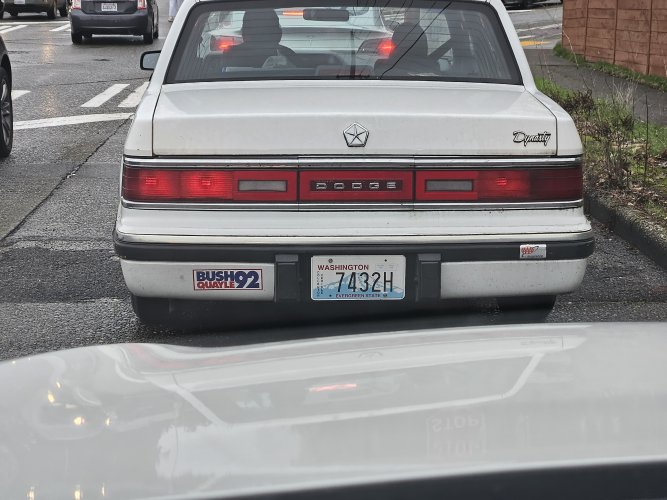 20240128_112130.jpg