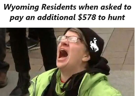 Screenshot 2024-02-01 132530.png