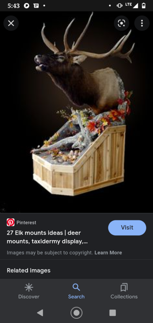 Resized_Screenshot_20220926-174336_1707065034472.png