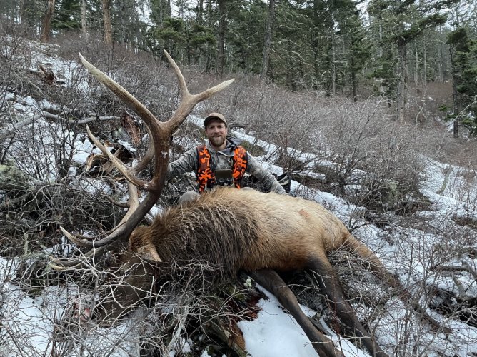 IMG_0157.jpeg IMG_0157.jpeg