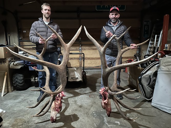 IMG_6177.jpeg IMG_6177.jpeg