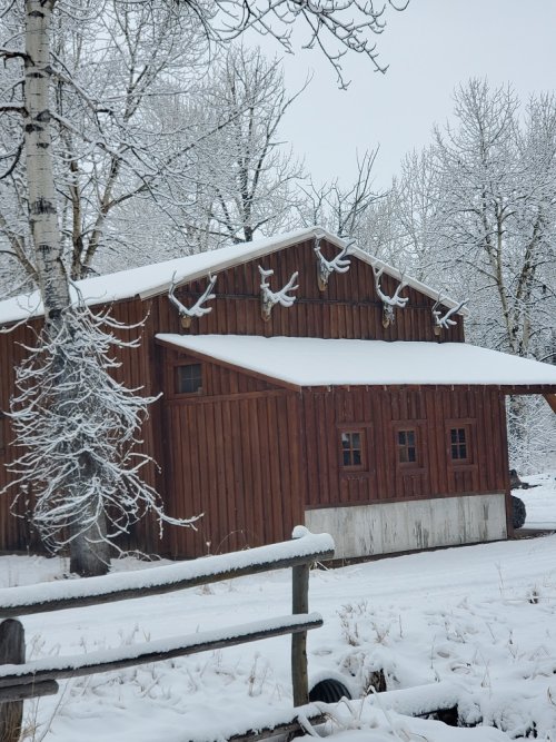 Feb snow.jpg Feb snow.jpg