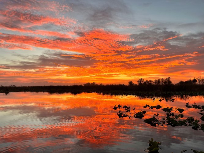 Florida Sunrise.jpg