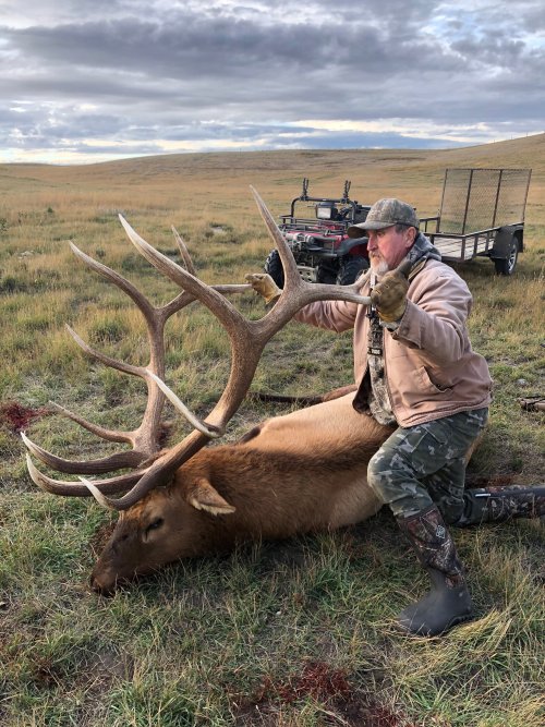 elk11.jpg