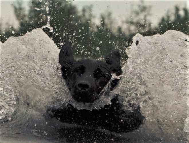 splash.jpg splash.jpg