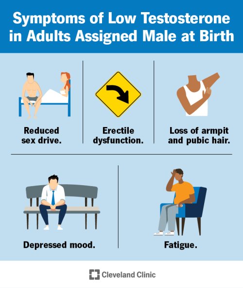 15603-low-testosterone-male-hypogonadism.jpg 15603-low-testosterone-male-hypogonadism.jpg
