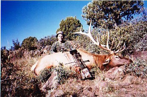 93 elk.JPG